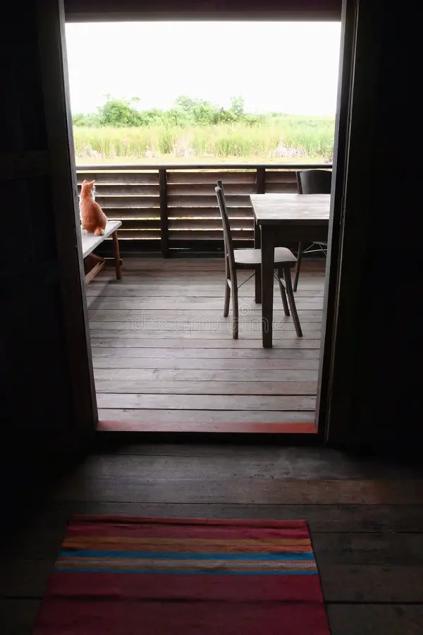 interior wooden asian house balcony view 29258215